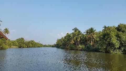 Goa Backwater - Download Goa Photos