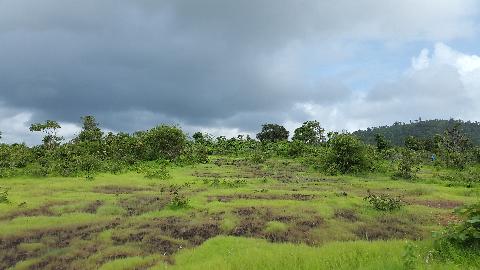 Goa Hill and Landscape - Download Goa Photos