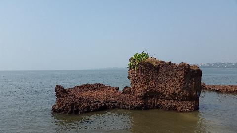 Siridao Beach - Download Goa Photos