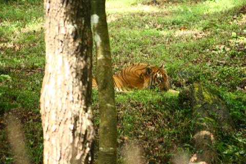 Bondle Wildlife Santuary - Download Goa Photos