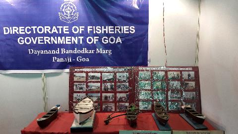 Aqua Festival - Download Goa Photos