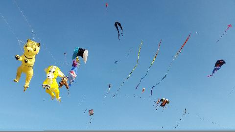 Kite Fetival in Goa - Download Goa Photos